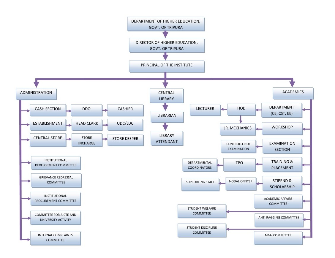 Organisational Structure